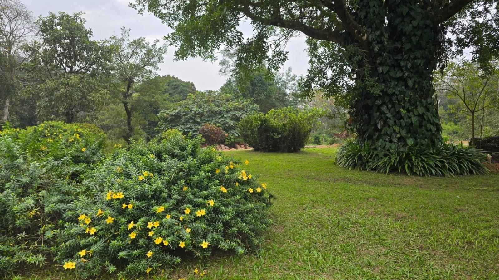 Hotel Highland Estate à Sakleshpur Extérieur photo